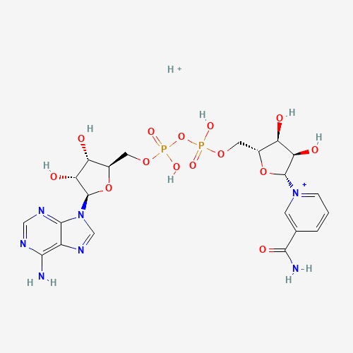 NAD+ molecular structure